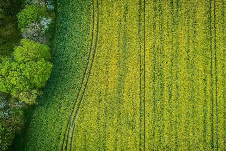 Von 0 auf Spring AI